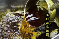 包邮 雅安现榨原浆农家自榨四级菜油 传统压榨黄菜籽油 无勾兑5L