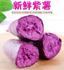 紫薯10斤新鲜番薯小地瓜蔬菜红香薯芋头整箱批发包邮