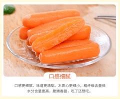 新鲜水果小胡萝卜76g*6袋 生吃手指迷你红萝卜樱桃青萝卜蔬菜包邮